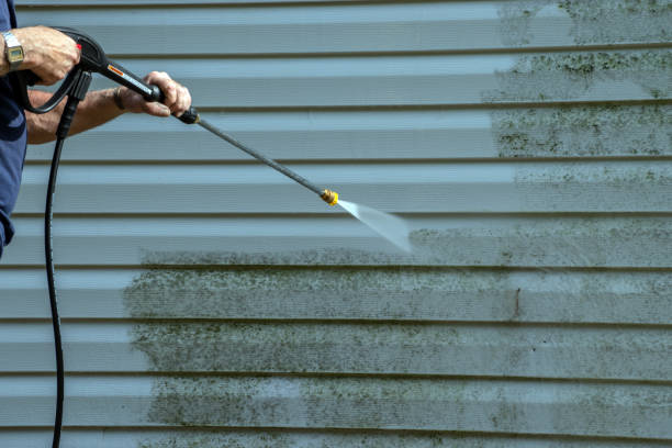 Best Power Washing Near Me  in Trowbridge Park, MI