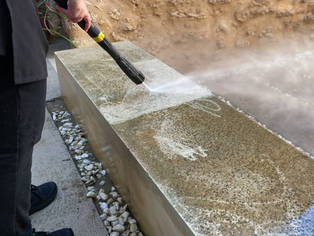 Best Exterior Home Cleaning  in Trowbridge Park, MI