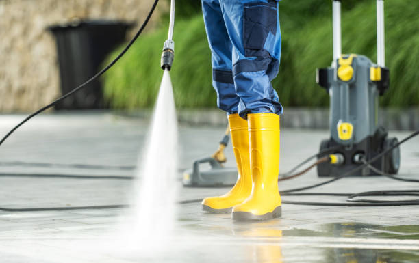 Best House Pressure Washing  in Trowbridge Park, MI