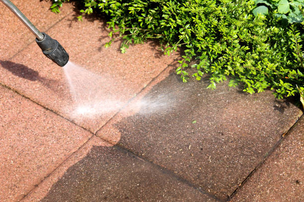 Best Best Pressure Washing Companies  in Trowbridge Park, MI